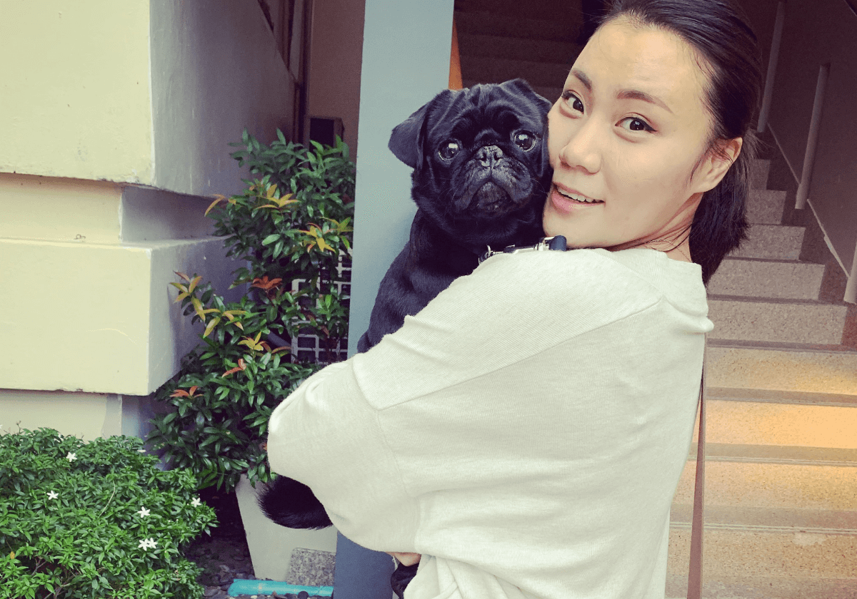 at last, reunited at home with her beautiful pug by Relo4Paws